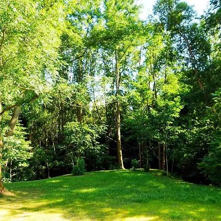 Alpok - Spirit Park Apartment *